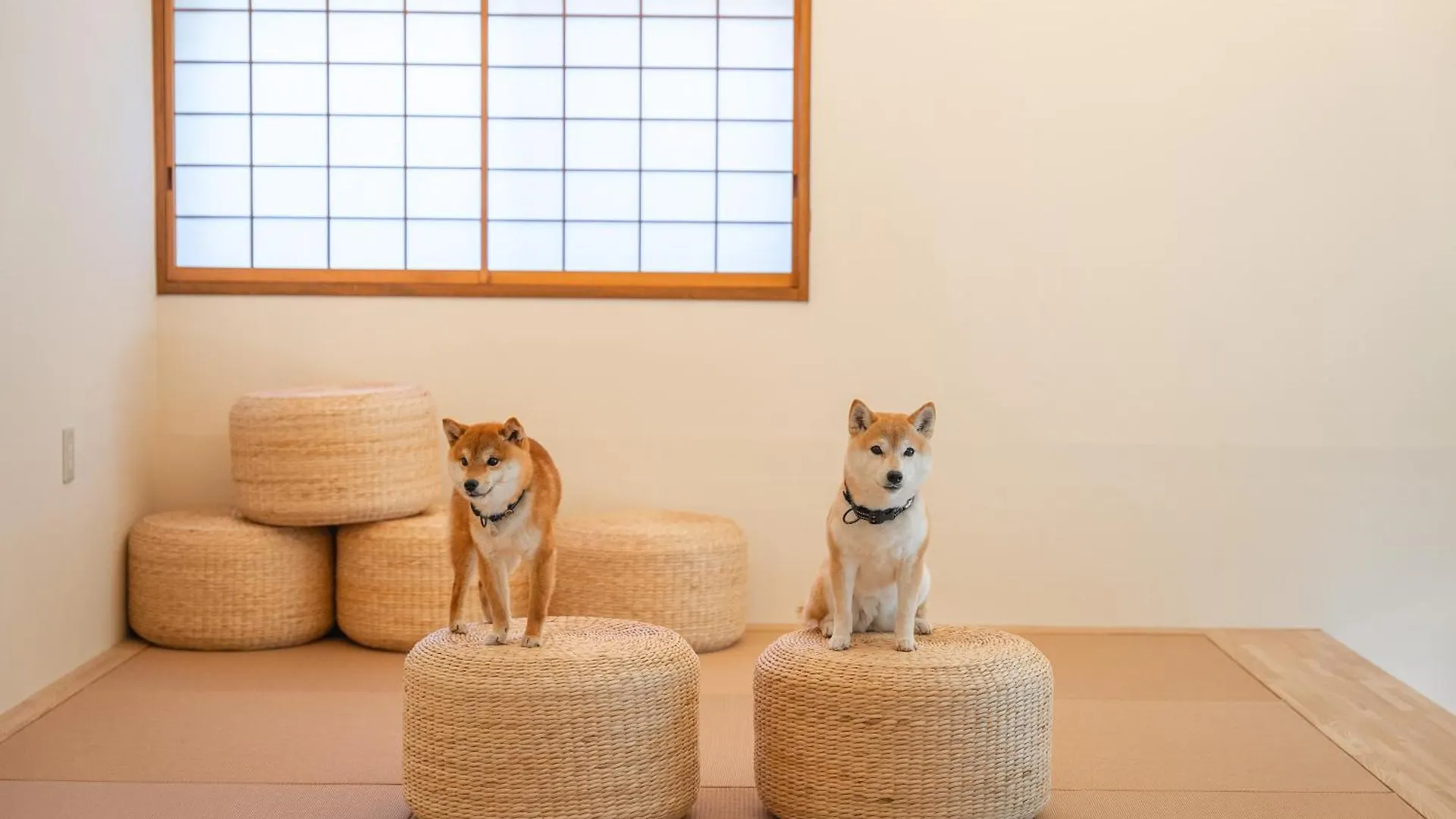 Villa プライベートリゾート犬の日 Hakone