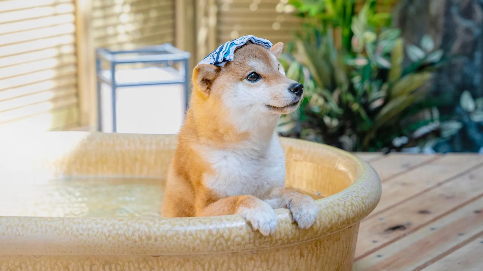 プライベートリゾート犬の日 Hakone Villa