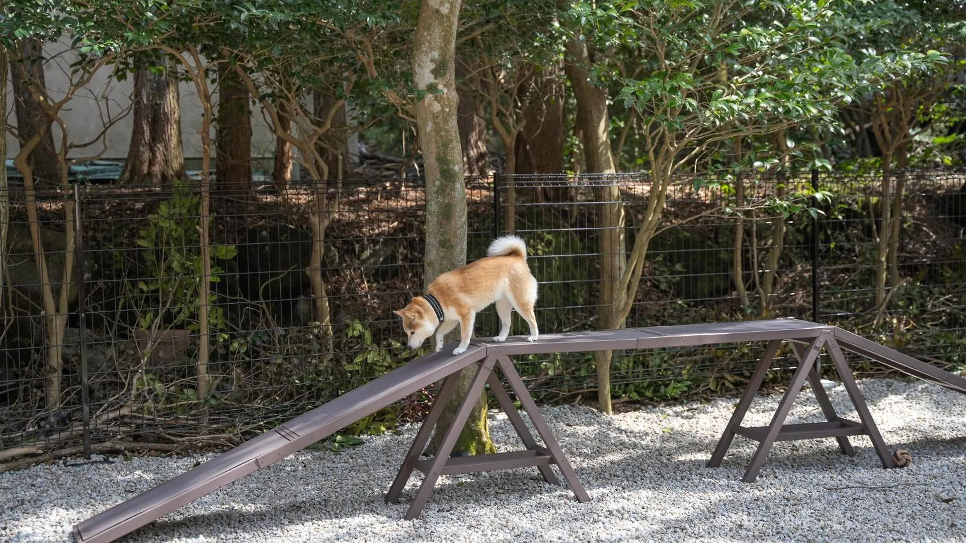 プライベートリゾート犬の日 Hakone Villa